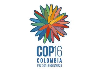 COP 16